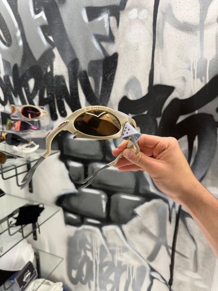 Plantaris Grey Coffee Lens